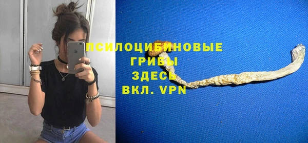дживик Покров