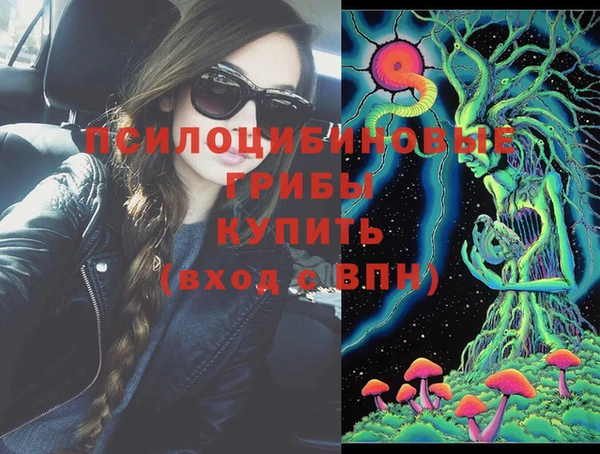 твердый Алексеевка