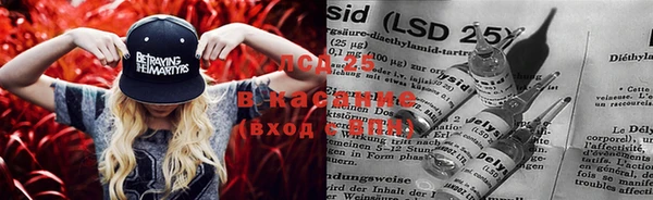 дмт Гатчина