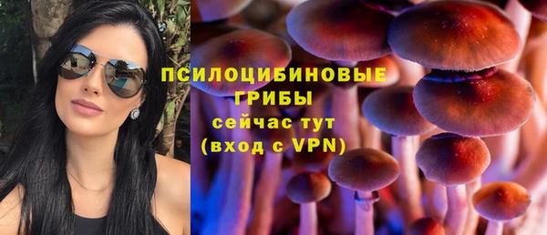 дживик Покров