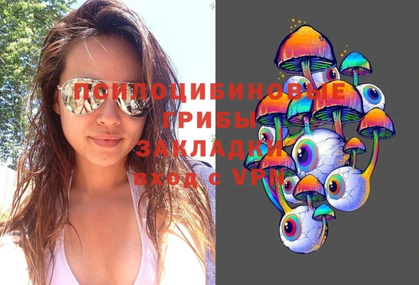 сатива Грязи