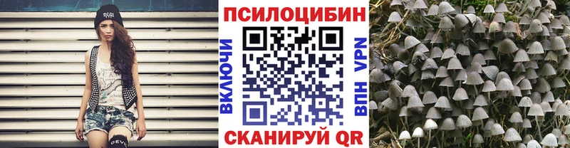 купить наркоту  Ардон  Галлюциногенные грибы GOLDEN TEACHER 