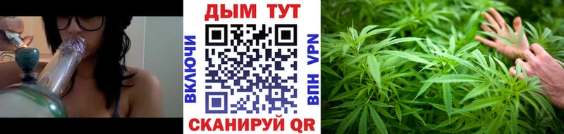 Бошки марихуана сатива  Ардон 